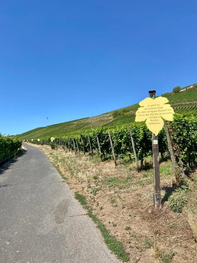 Ferienwohnung Zur Alten Schmiede Winningen Exterior foto
